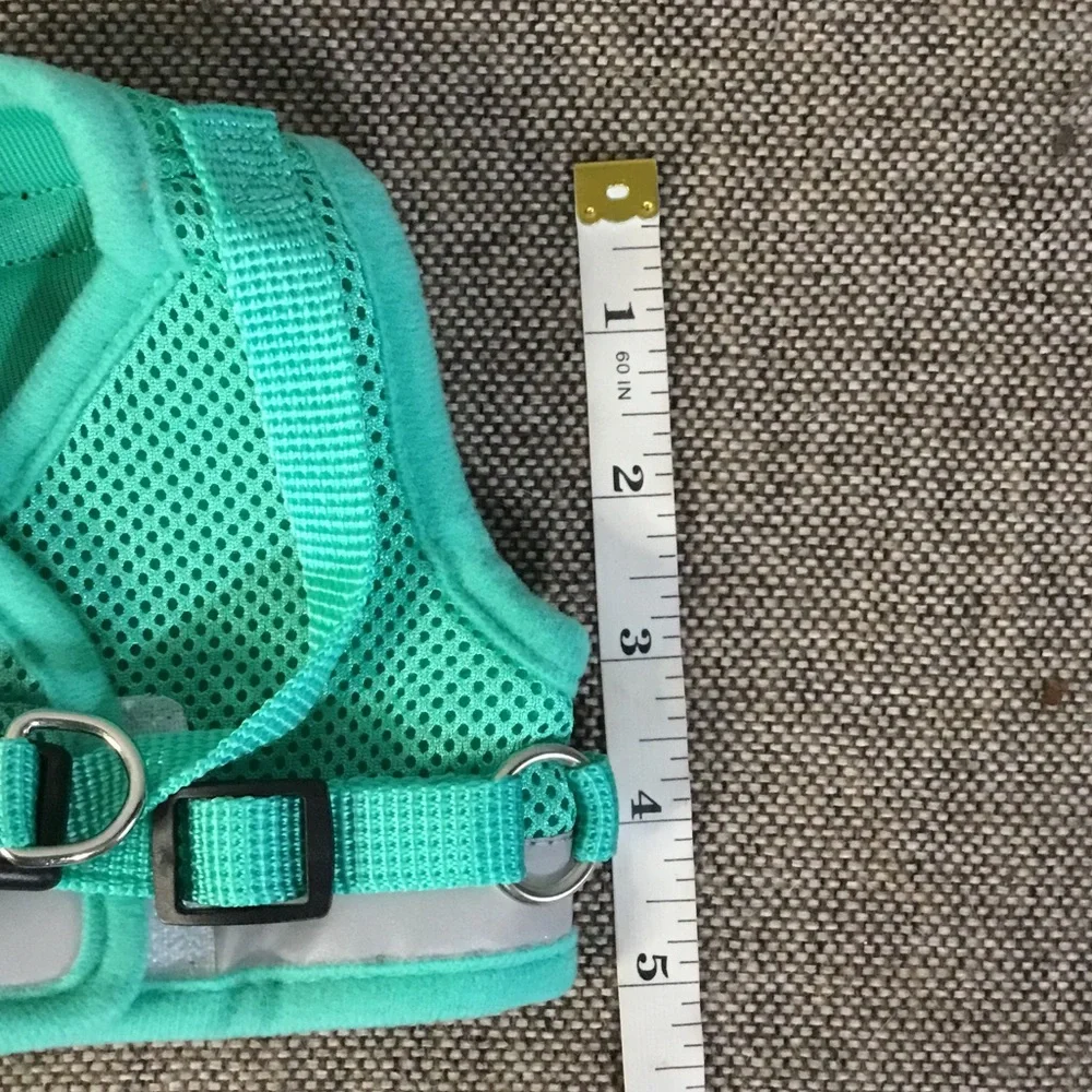 Supet turquoise step in cat harness & leash, NIB.